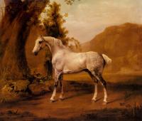 Stubbs, George - A Grey Stallion In A Landscape